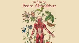 El inquietante poster de 'La Piel que Habito'