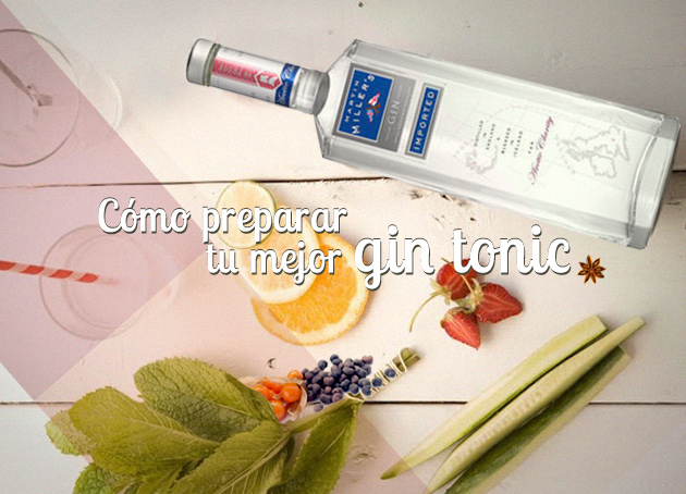 Sorprende a tus amigos preparando el gin-tonic perfecto