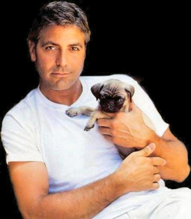 George Clooney es Gay, Gay