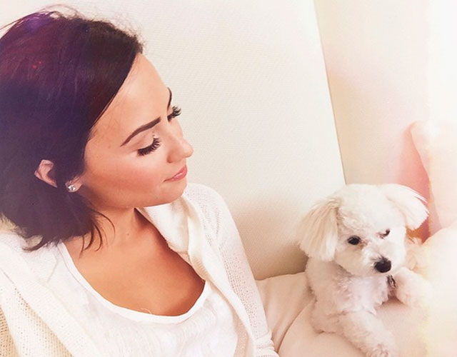 Demi Lovato llora la muerte de su perro