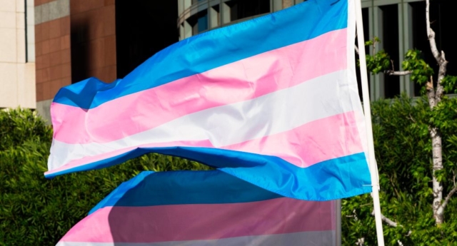 150 organizaciones LGBT condenan la transfobia de manera conjunta 1