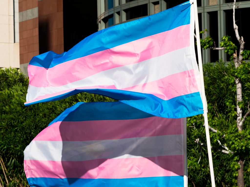 bandera trans