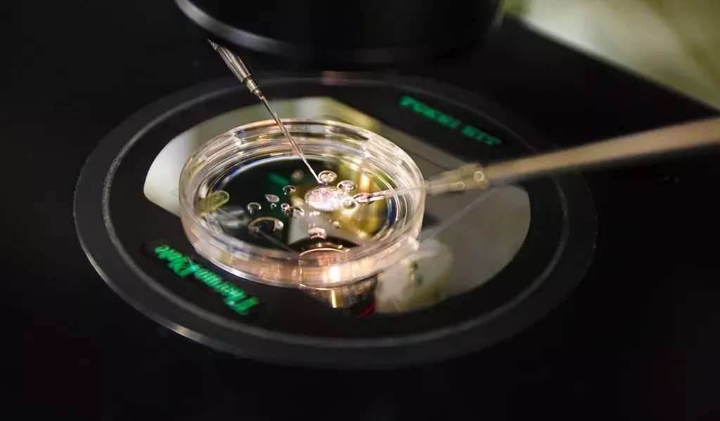 Gene therapy in a petri dish