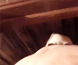 Tom Hardy desnudo y azotado