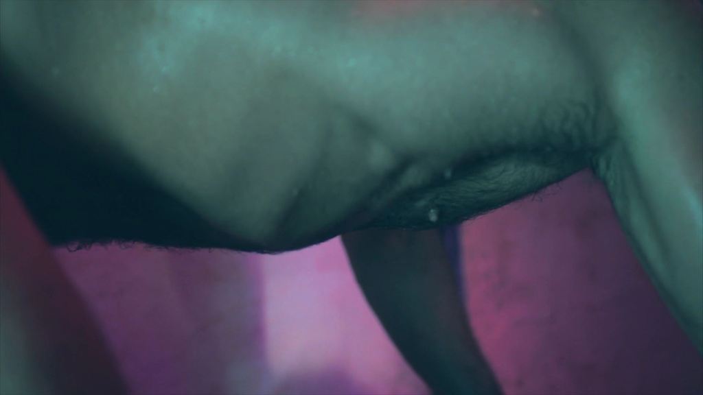 El desnudo del DJ Brian Maier 