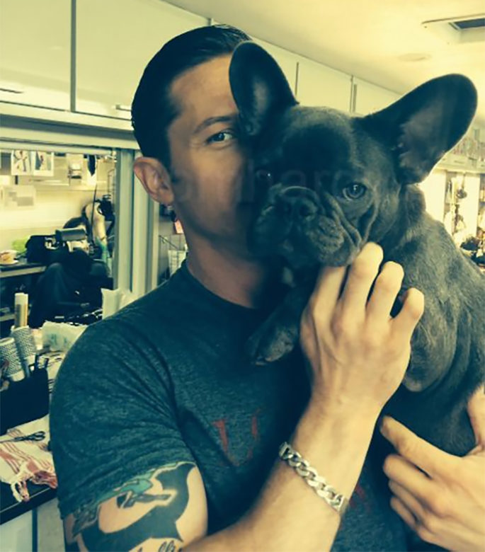 Tom Hardy perritos