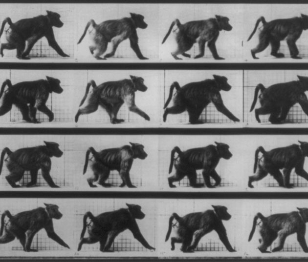 Eadweard J. Muybridge
