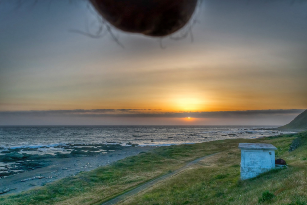 Nutscaping: testículos en paisajes