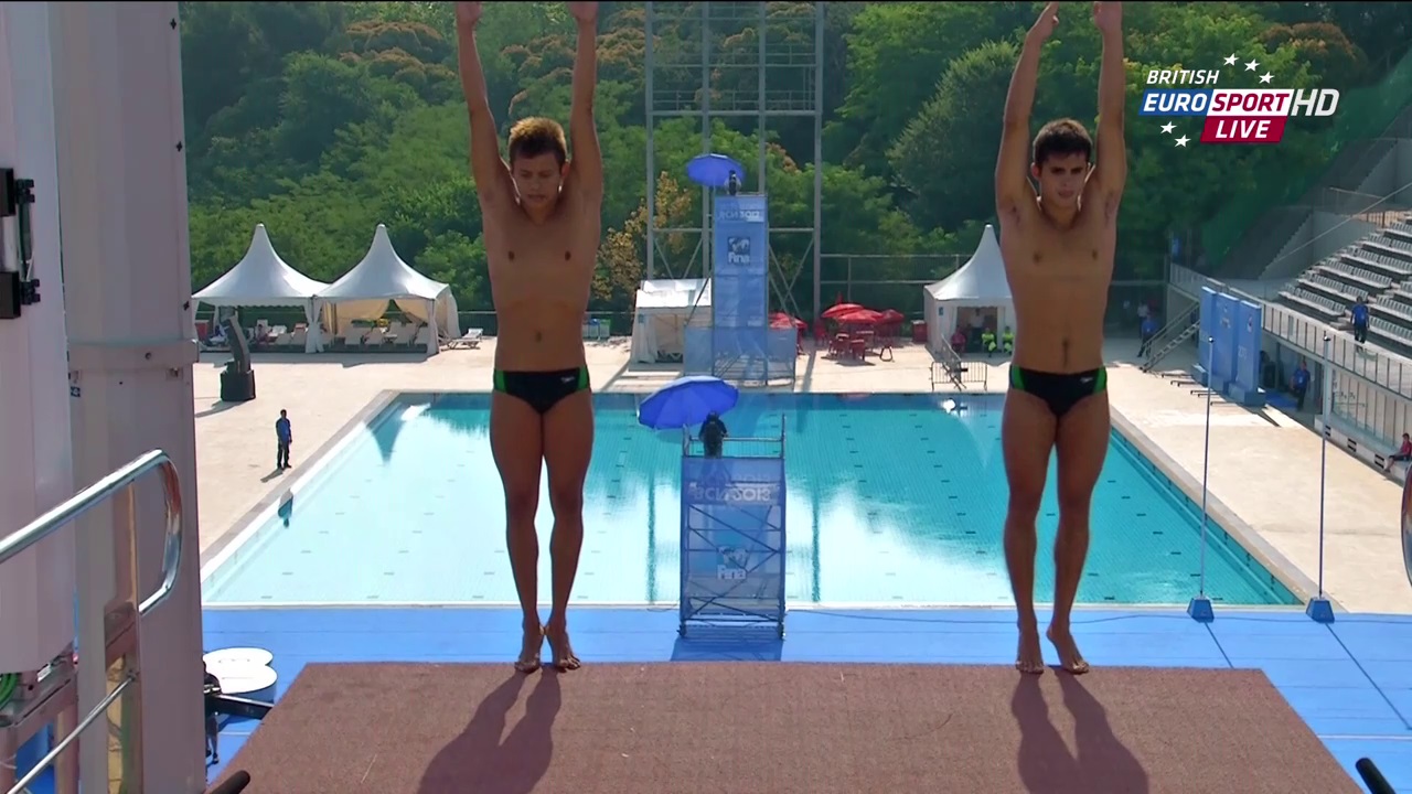 Mundial de Natación Barcelona 2013