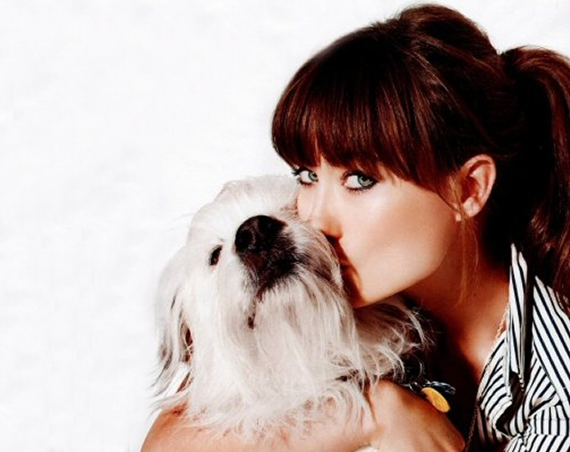 Olivia Wilde confiesa que su perro es su novio