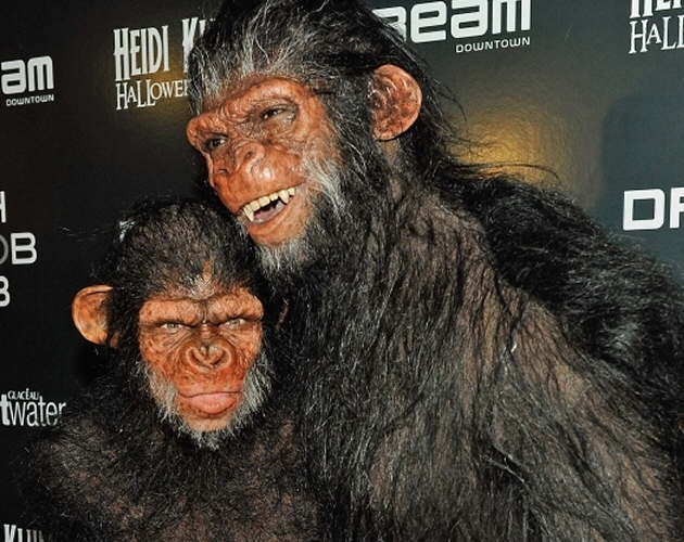 Heidi Klum y Seal vuelven a sorprender disfrazados de monos