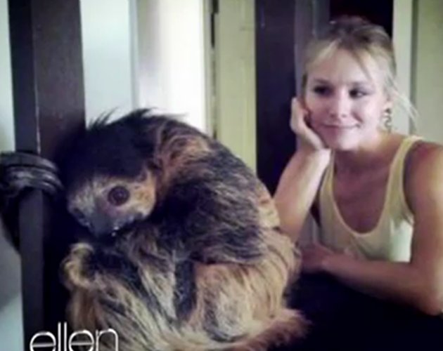 El drama de Kristen Bell con los sloths