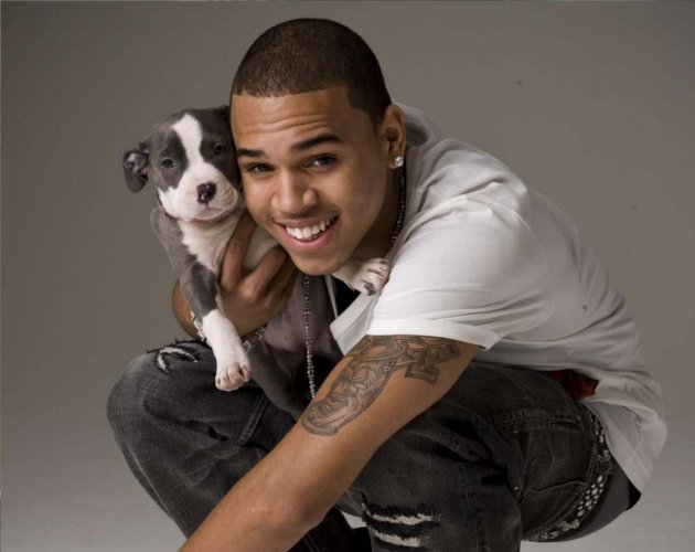 Chris Brown vende cachorros por 1000 dólares