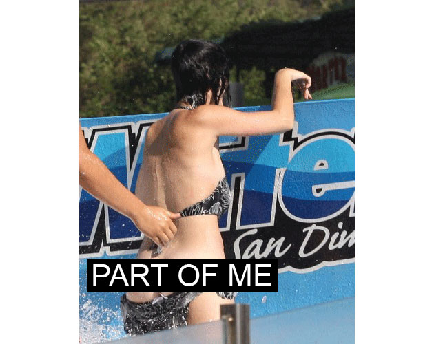 Katy Perry lo enseña casi todo en un parque acuático