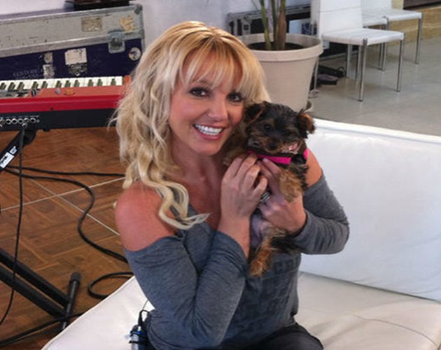 Britney Spears adopta una nueva perrita y le abre una cuenta de Twitter