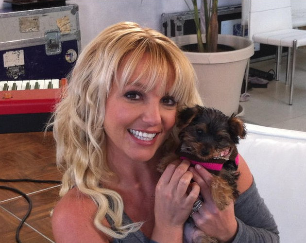 Britney Spears habla sobre Las Vegas con su perra en Twitter y confunde al mundo