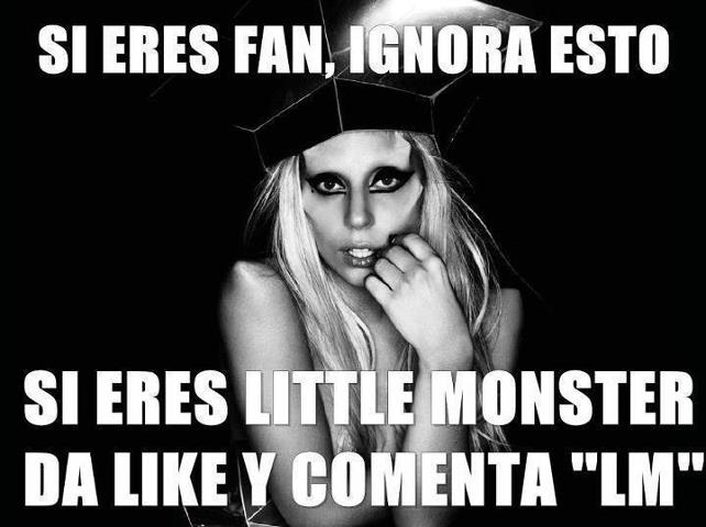 lady gaga little monsters