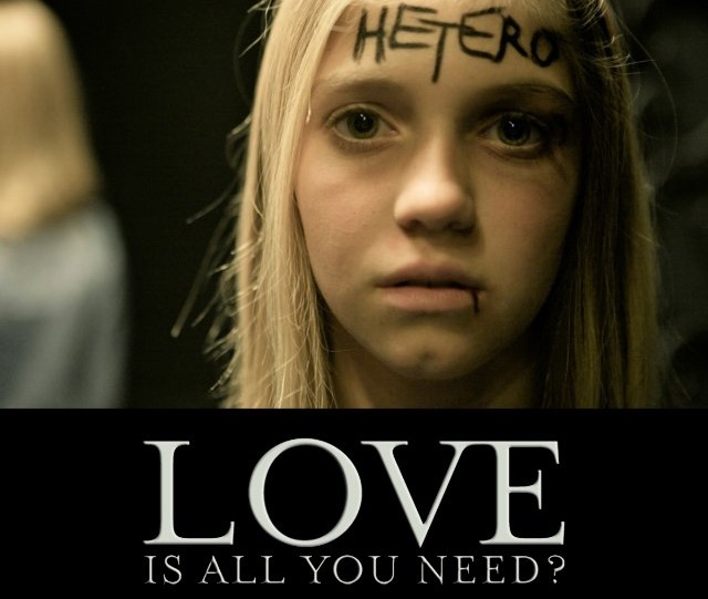 pelicula gay love is all you need
