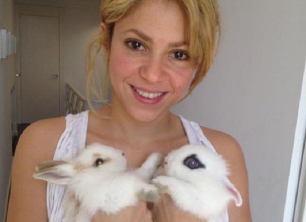 Shakira, demandada y amenazada a causa de un pollo