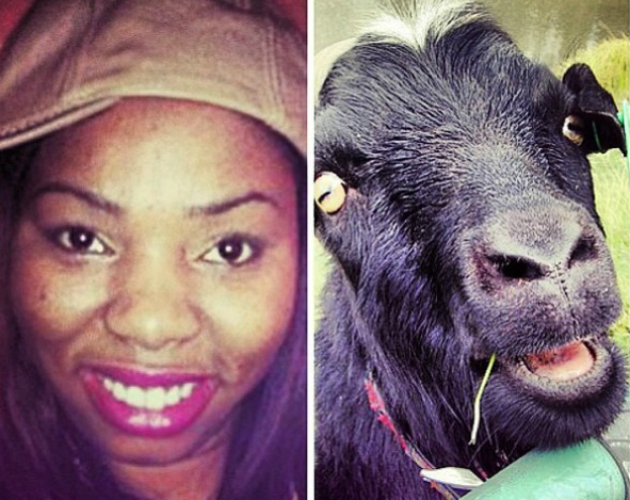 Rihanna ridiculiza a una usuaria de Instagram que insulta a su familia