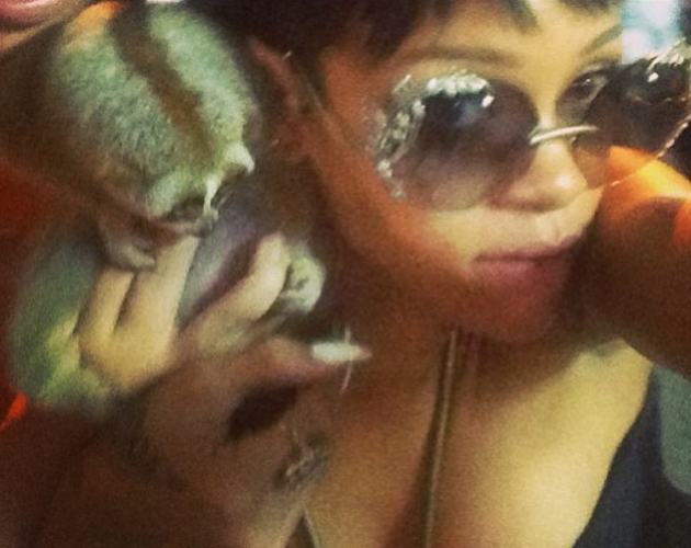 Rihanna liga con un mono y provoca dos arrestos