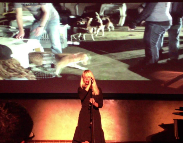 Sia se deja el pelo largo y canta contra la crueldad animal