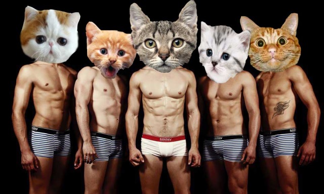 modelos desnudos y gatos