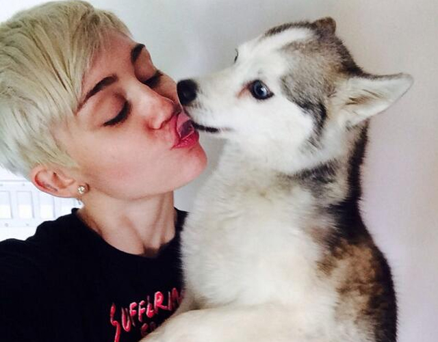 Miley Cyrus, desolada por la muerte de su perrito Floyd