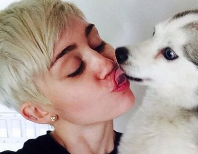 Miley Cyrus médium perro