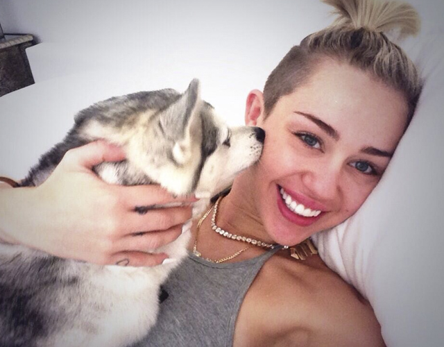 Miley Cyrus deja de tuitear tres días y la dan por muerta