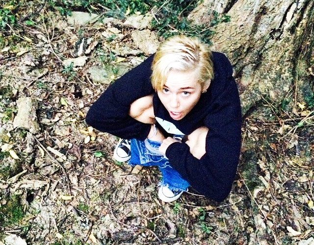 Miley Cyrus comparte una foto cagando en el bosque.