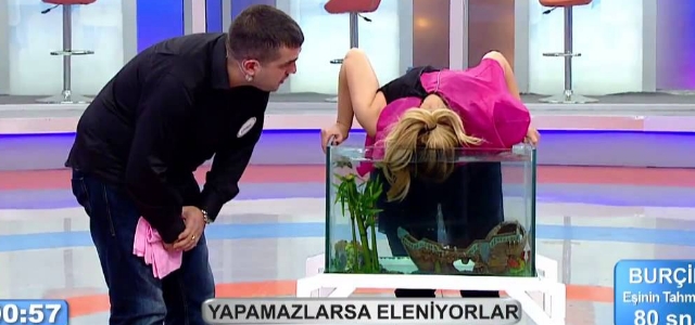 homofobia tve homofobia tve