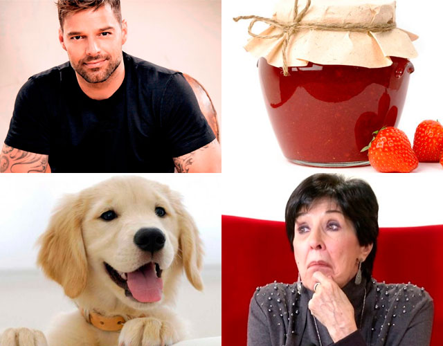 Ricky Martin perro mermelada