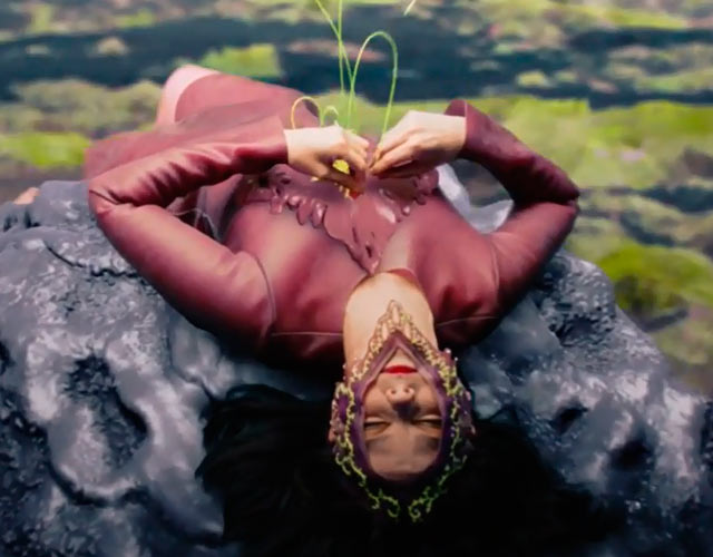 Nuevo vídeo de Björk, 'Family'