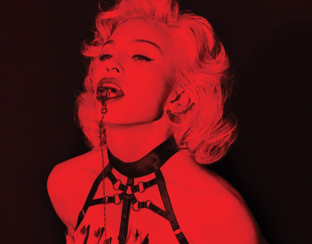 El hacker de Madonna se enfrenta a muchas causas
