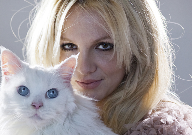 Britney Spears prepara la venganza contra su ex Charlie Ebersol
