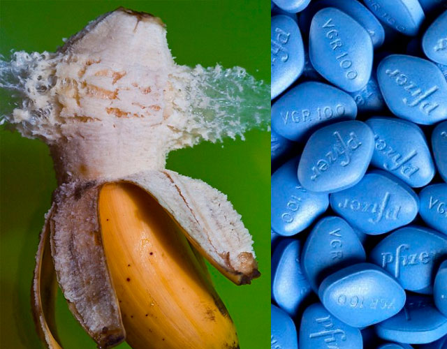 ¿Puede explotar un pene usando Viagra?