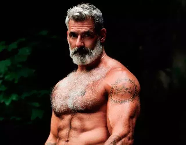 Zorros plateados gay