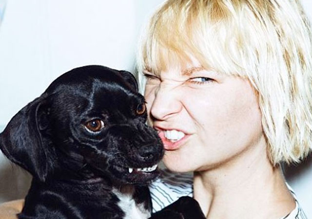 Repasamos los discos de Sia desde sus inicios