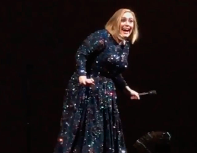 Un murciélago atormenta a Adele en su concierto en México