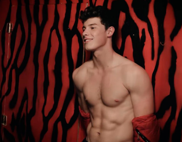 ¿Es Shawn Mendes gay?