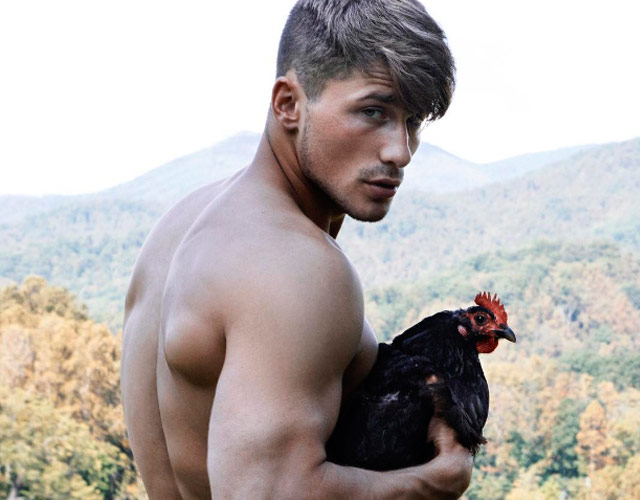 Hombres desnudos con pollas grandes en la mano