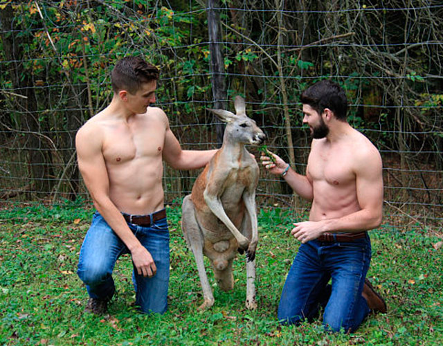 Veterinarios desnudos con animales en un calendario