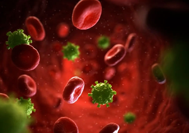 Un equipo español elimina el VIH de la sangre de seis pacientes