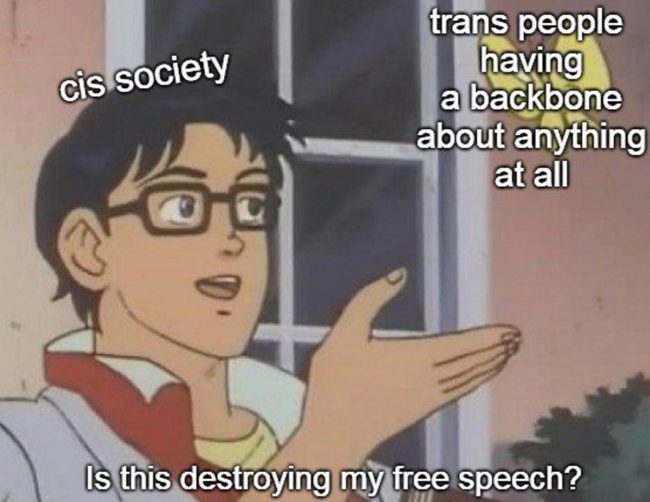 Los mejores memes gay del 2018 5