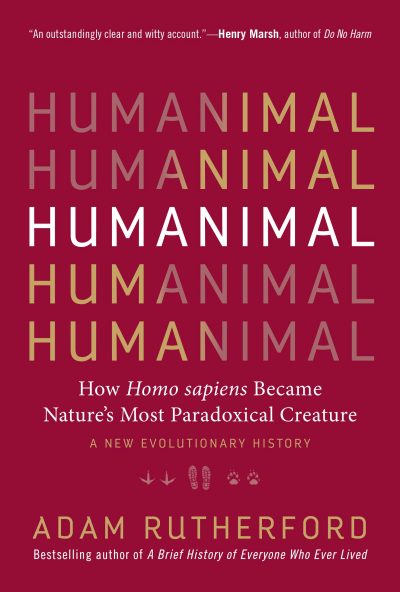 ¿Por qué las jirafas son en su mayoría homosexuales? 3