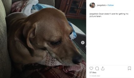 Héroes de 'Queer Eye': cuentas en redes sociales y cambios en sus vidas 5