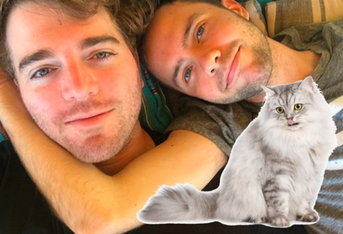 Shane Dawson anuncia boda gay tras negar haber tenido sexo con su gato 1
