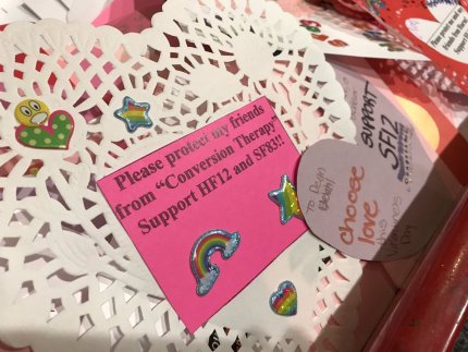 Minnesota, próximo estado de EE.UU. en prohibir la terapia de conversión 2