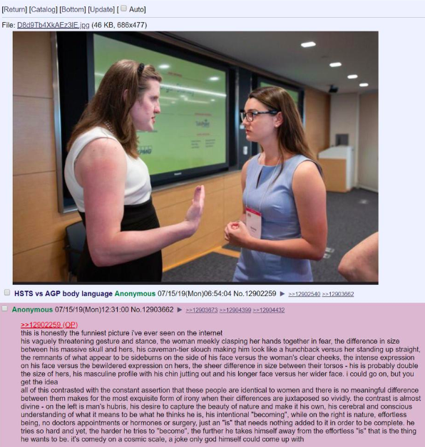 Activista trans contraataca a los trolls de 4chan 2